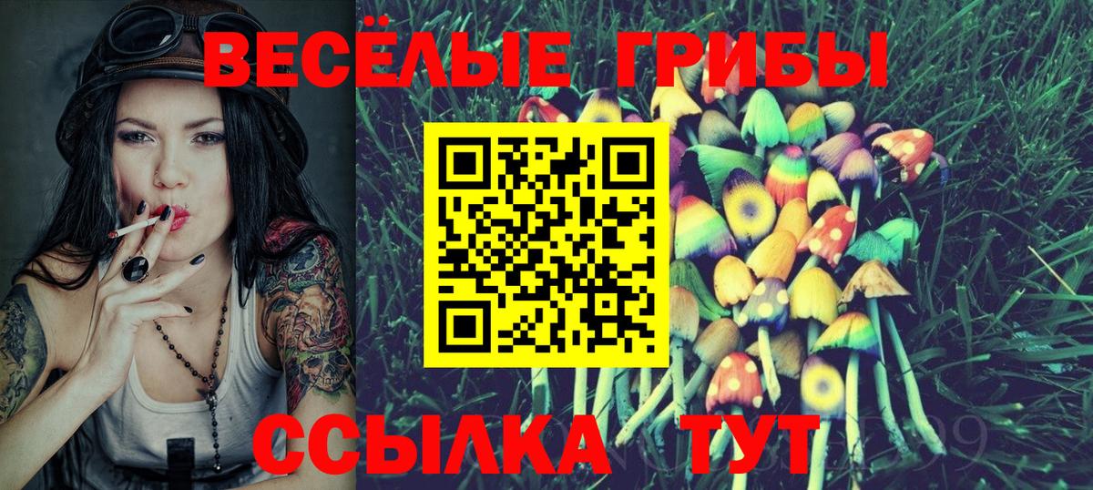 Псилоцибиновые грибы мухоморы  Псилоцибиновые грибы Psilocybe  Томск  Вход с VPN 